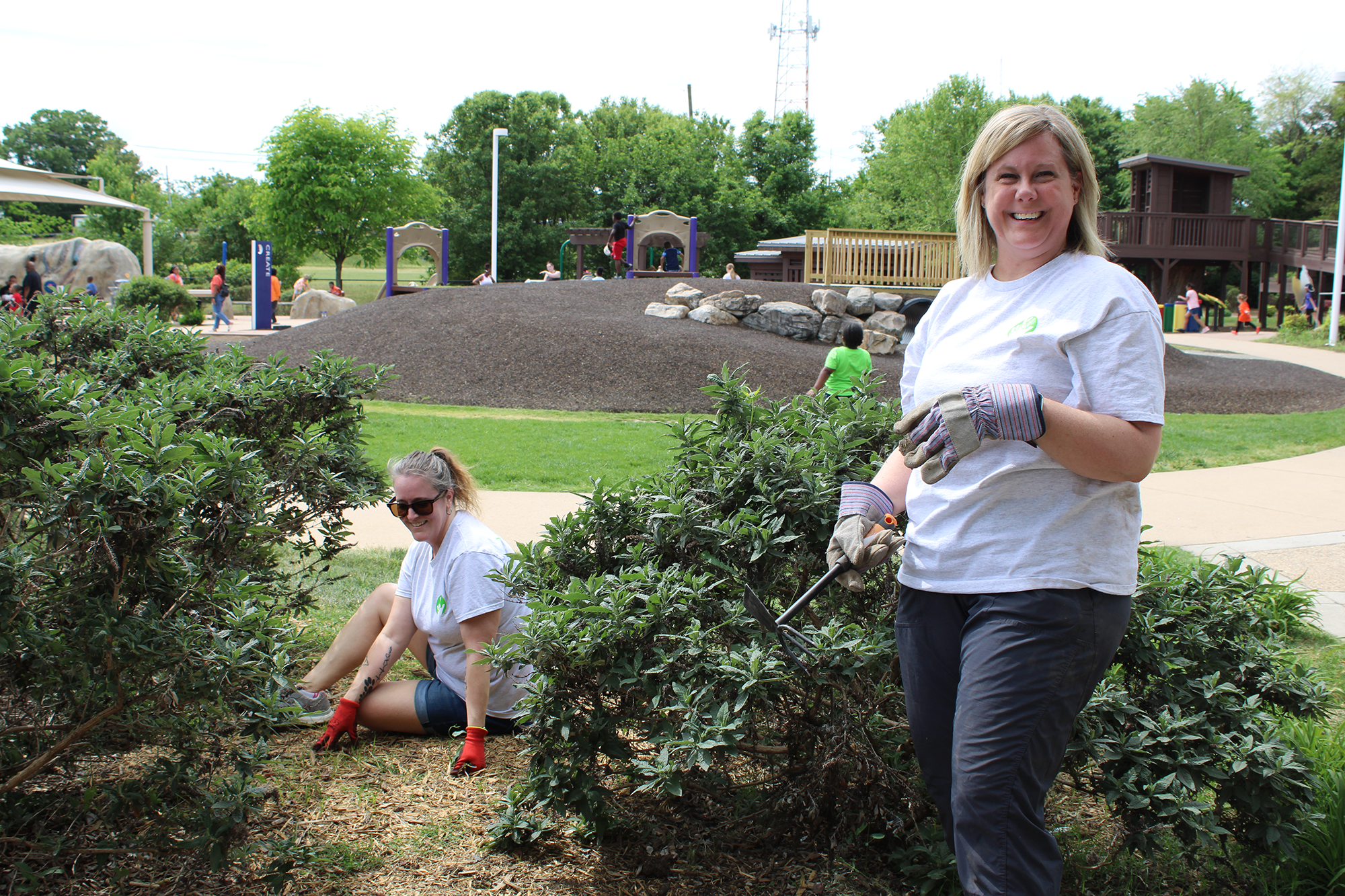 Park Clean Up